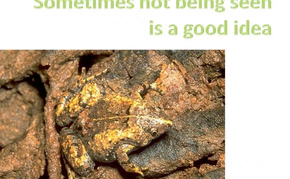 Stealth Amateur Radio