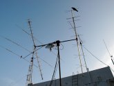 Ham Radio VHF frequencies